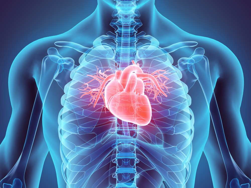 Logran revertir el daño causado por un ataque al corazón